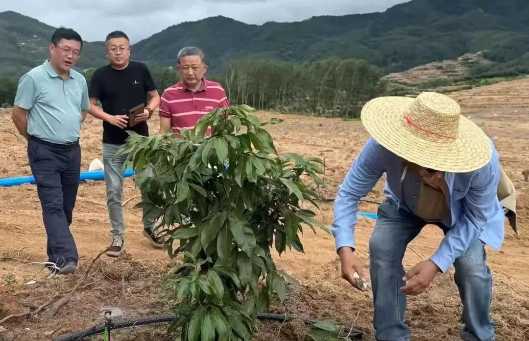 1761789210199019357.jpg 1761789210199019357.jpg